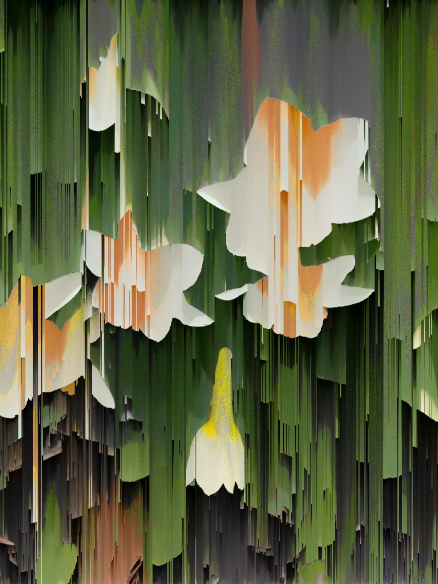Simulation Flower Melt banner